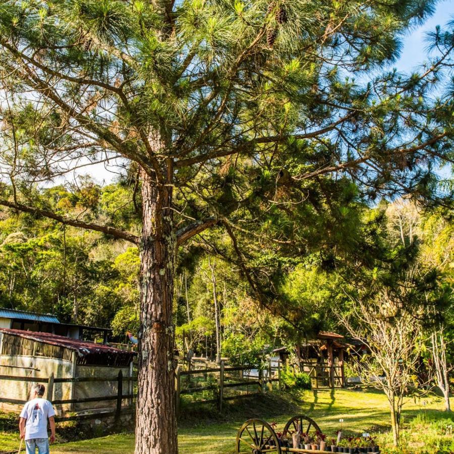 Sitio Araxa - 82 Anos De Historia - Suite Confortavel Em Meio A Floresta Paty do Alferes Exterior foto