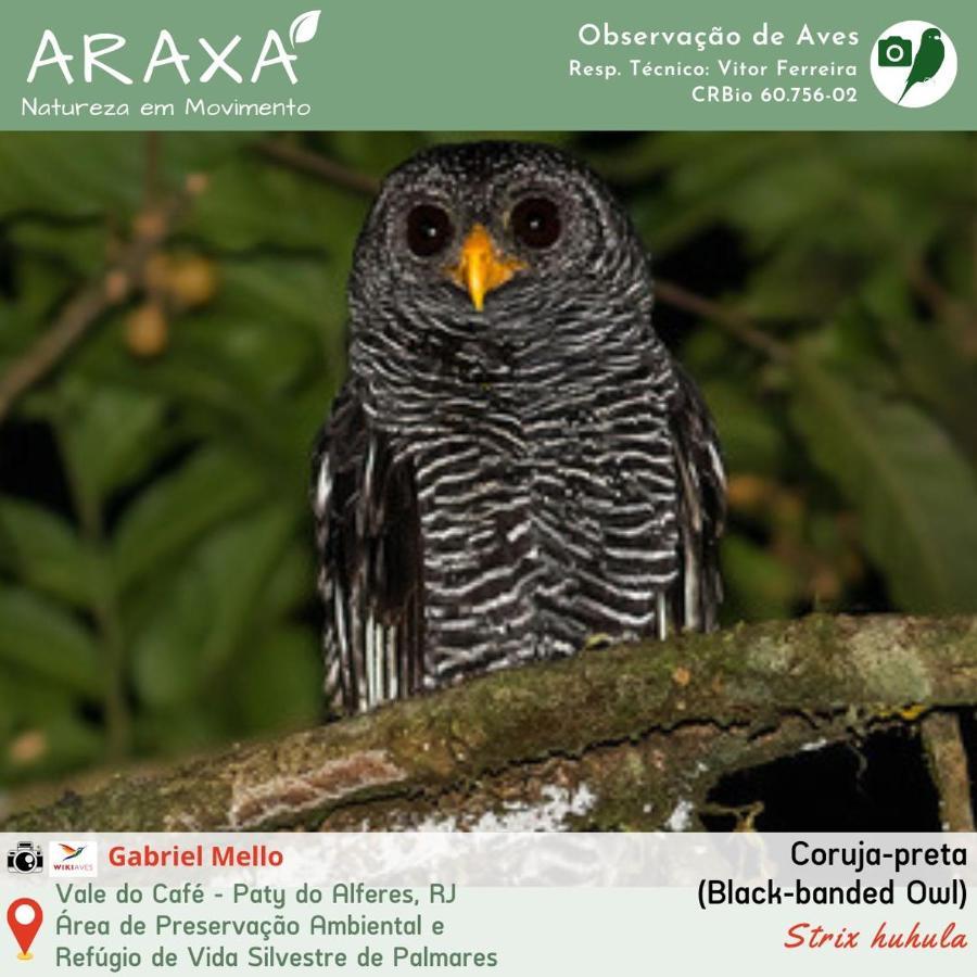 Sitio Araxa - 82 Anos De Historia - Suite Confortavel Em Meio A Floresta Paty do Alferes Exterior foto